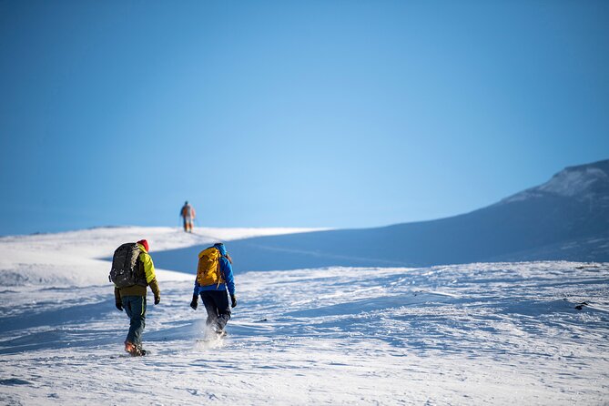 1 Day Snowcoach and Snowshoe Adventure in Jotunheimen