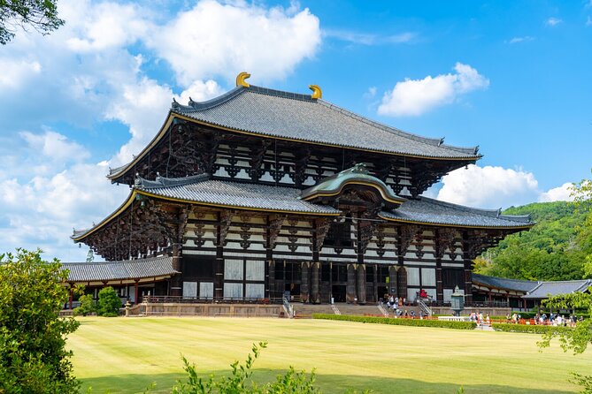1 Day Walking Tour in Nara Palace Deer and Inkstick