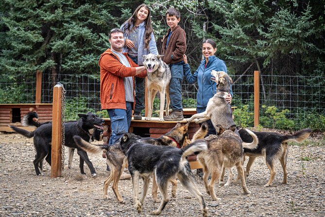 1 Hour Fall Sled Dog Experience Review