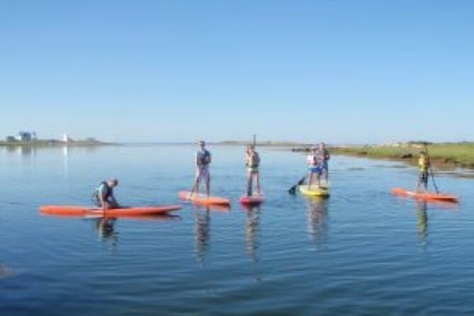 1 Hour Guided SUP/Kayak Tour Review