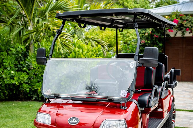 1 Week Golf Cart Rental Review