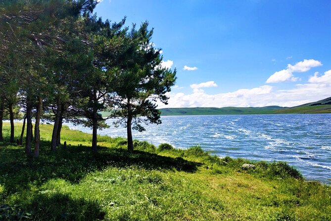 11 Days/10 Nights National Parks Tour Package in Georgia