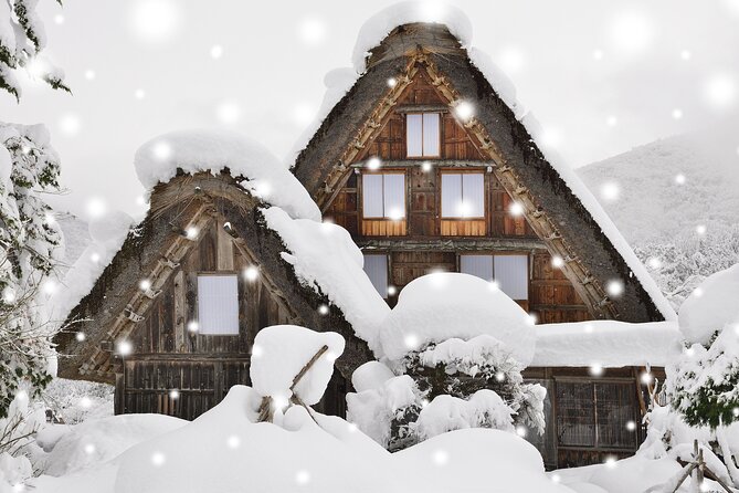 1DAY Private Shirakawago and Takayama With Public Bus From Nagoya