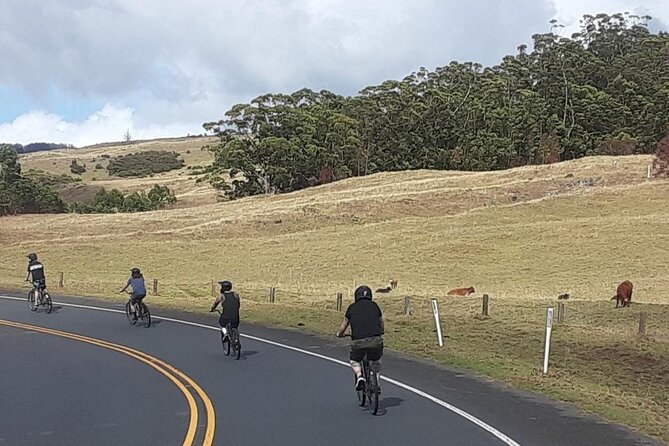 1pm Haleakala Unguided Downhill Tour Review