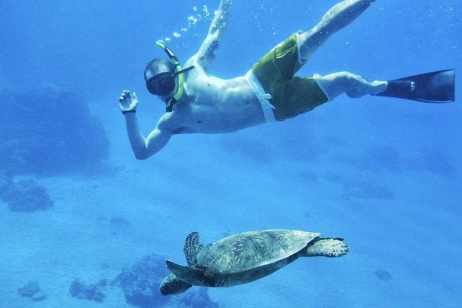 2.5 Hour Xpress Snorkel From Ka’Anapali Beach