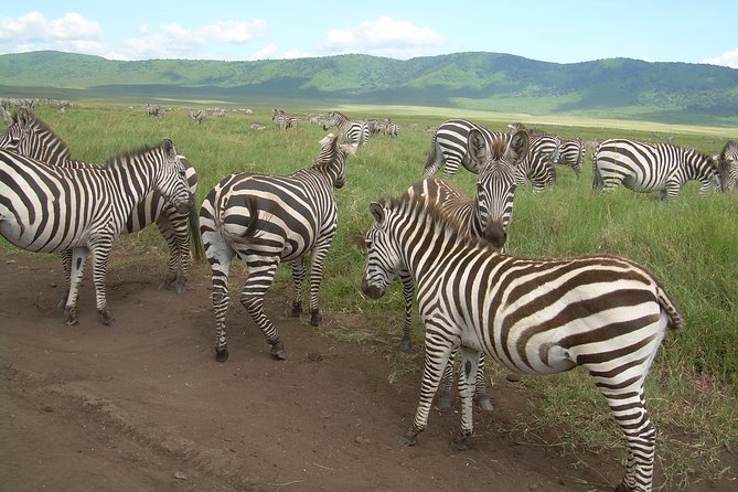 2 Days Lodge Safari. - Tour Participation Details