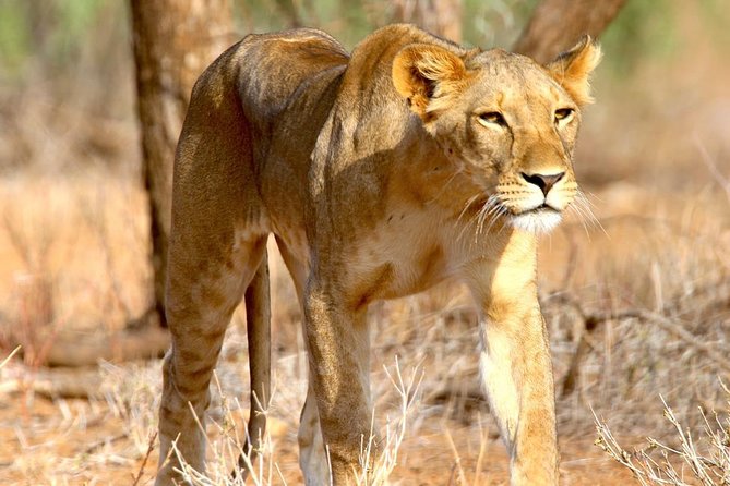 2 Days Morogoro- Selous Game Reserve(Nyerere National Park)