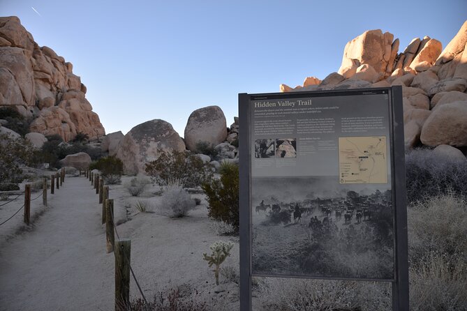 2-Days Private Tour to Joshua Tree National Park From Los Angeles - Tour Overview