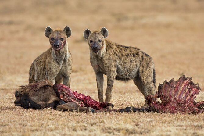 2-Days Safari Tour in Tarangire & Ngorongoro Crater - Itinerary Highlights