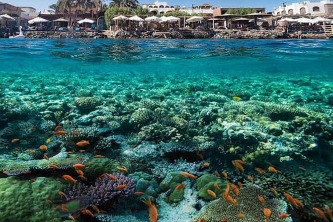 2 Diving Stops at the Most Beautiful Coral Reefs Hurghada