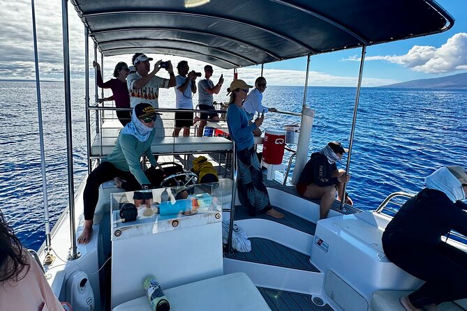 2 Hour Afternoon Lahaina Whale Watch - Overview of the Whale Watch Experience