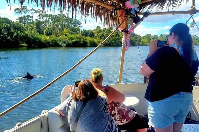 2 Hour Dolphin Sightseeing Tour in Melbourne Florida