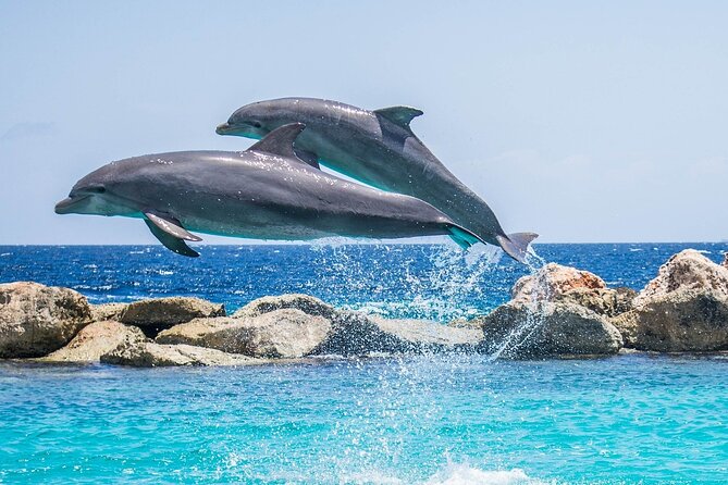 2-Hour Dolphin Sunset Tour From Giardini Naxos - Meeting Point and Start Time