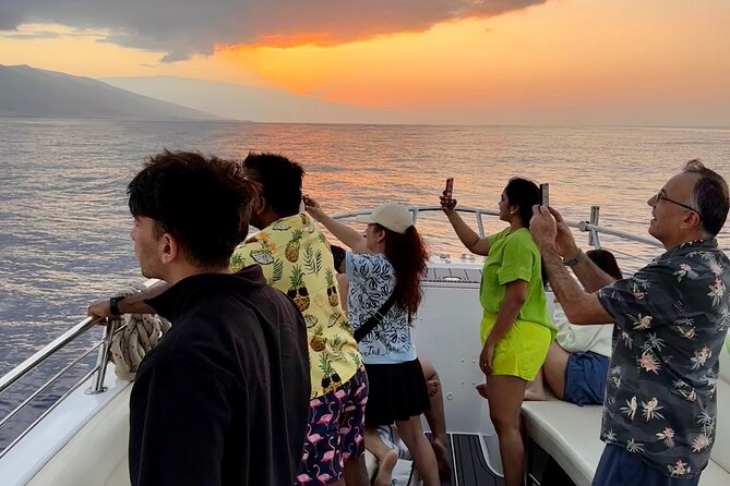 2 Hour Lahaina Sunrise Whale Watch - Overview of the Experience