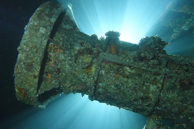 2 Hour Private Night Diving in the Red Sea of Aqaba