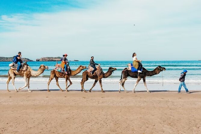 2 Hours Camel Riding Experience in Agadir