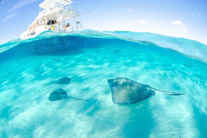 2-Stop Adventure: Stingray City and Snorkeling at Cayman Reefs