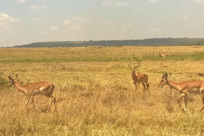 3 Days Amboseli National Park