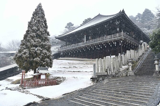 3 Days Private Osaka Kyoto and Nara Tour With English Driver - Tour Highlights