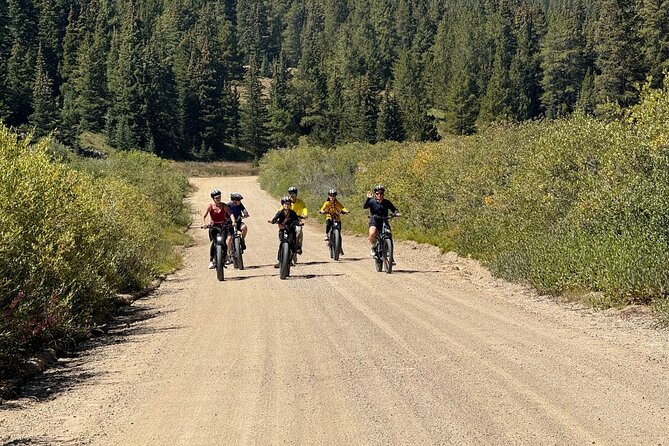 3-Hour E-Bike Tour of Trail of the Silver Kings (Old Mine Tour) - Discovering Leadvilles Rich Mining History