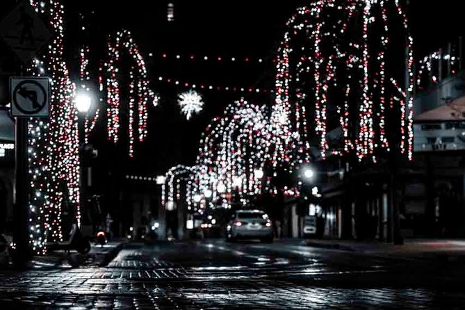 3 Hour Enchanted River Lights Night Walk San Antonio Texas