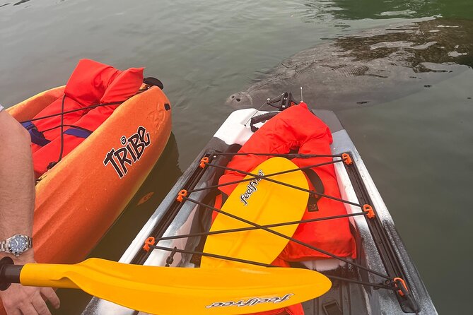 3 Hour Guided Single Kayak Adventure - Inclusions and Pricing