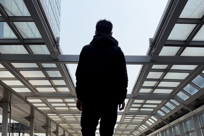 3-Hour Odaiba Scenic Photo Walking Tour - Tour Overview