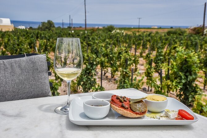 3 Hour Tour in Paros Wine Tasting