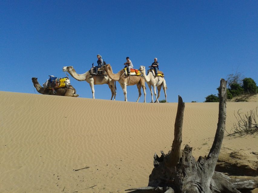 3-Hours Dromedary Ride Essaouira, Morocco