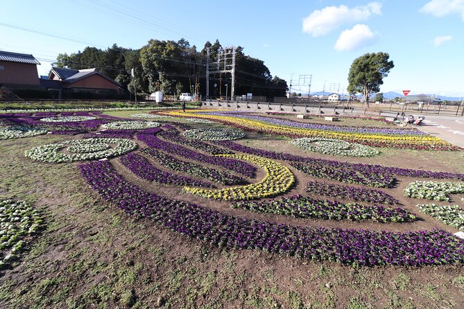 3 Hours Historical Tour of Princess Saio on an Electric Cart - Included Experiences