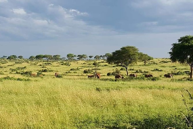 3days Tarangire,Ngorongoro Crater and Lake Manyara