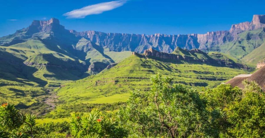 4 Day Garden Route Private Safari From Cape Town