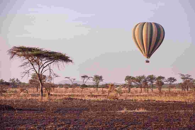 4 Day Private Camping Safari in Serengeti,Ngorongoro and Tarangire National Park - Inclusions and Amenities