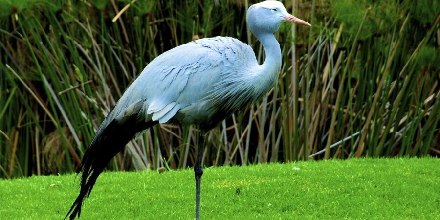 4 Day Small Group Garden Route Tour From Cape Town