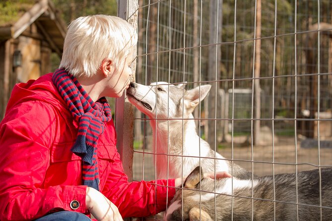 4-hour ATV, Huskies and Reindeer Farm Visit in Rovaniemi, Finland - Meeting and Pickup Details
