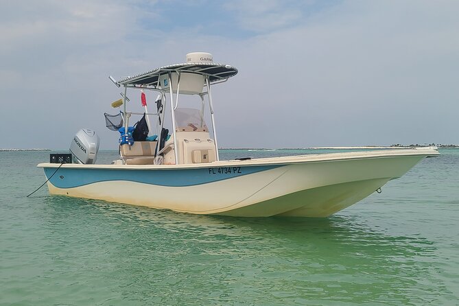 4 Hour Eco Dolphin Tour in Panama Review