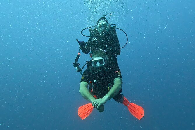 4 Hour Guided Scuba Diving Adventures Review