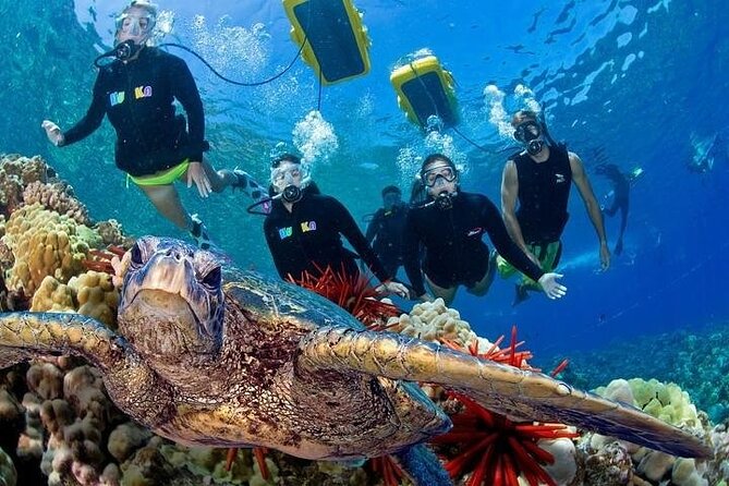 4-Hour Koa Kai Molokini Adventure Snorkel