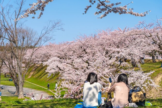 4 Hour Private Cherry Blossom Sakura Experience in Nagasaki