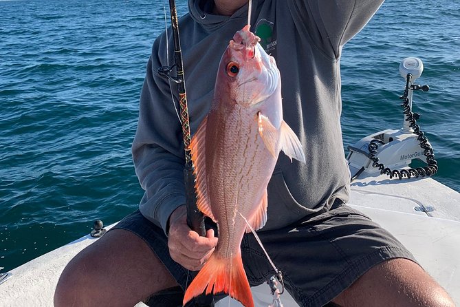 4-Hour Private Near-Shore Fishing Charter From Orange Beach