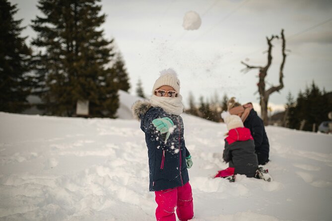 4 Hour Vegas Winter Adventure: Mt. Charleston Snow Day - Inclusions and Amenities