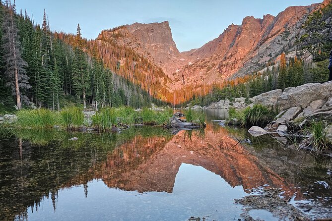 4 Hr Private Wildlife Hiking Tour in Rocky Mountain National Park