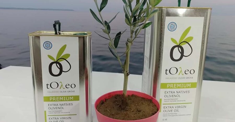 45 Min. Olive Oil Workshop in Kriopigi – Halkidiki.