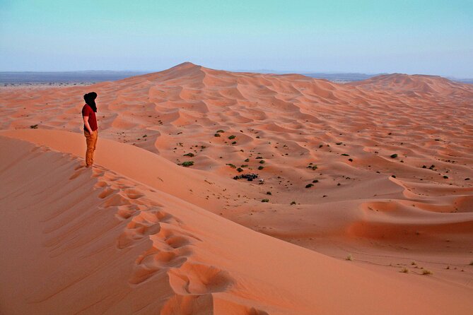 4×4 Arabian Adventure Desert Safari With BBQ Dinner