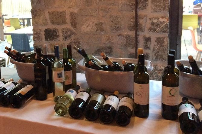 5. Wine Tasting: the Modern Wines of Greece With BBQ in the Vineyard