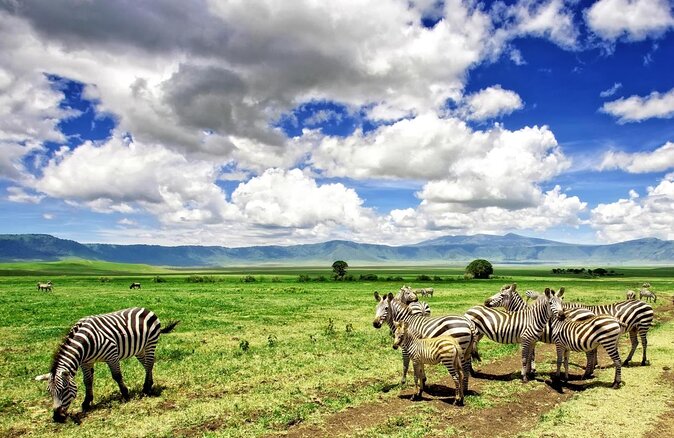 6 -Day Tarangire, Manyara, Serengeti & Ngorongoro