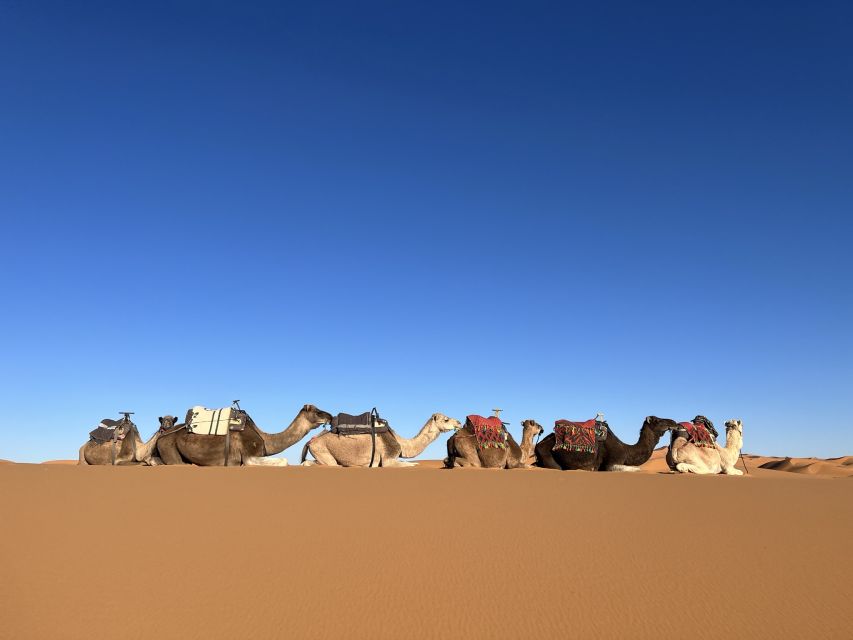 6 Days Journey Through the Cultural Wonders of Morocco
