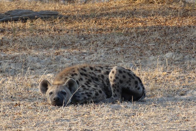 6 Days Safari to Mikumi Np, Udzungwa Mountain NP and Nyerere NP (Selous GR)