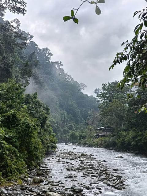 7-Day Orangutan Photo Adventure: Batu Kapal & Bukit Lawang