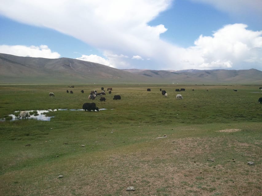 8 DAY GOBI AND CENTRAL MONGOLIA